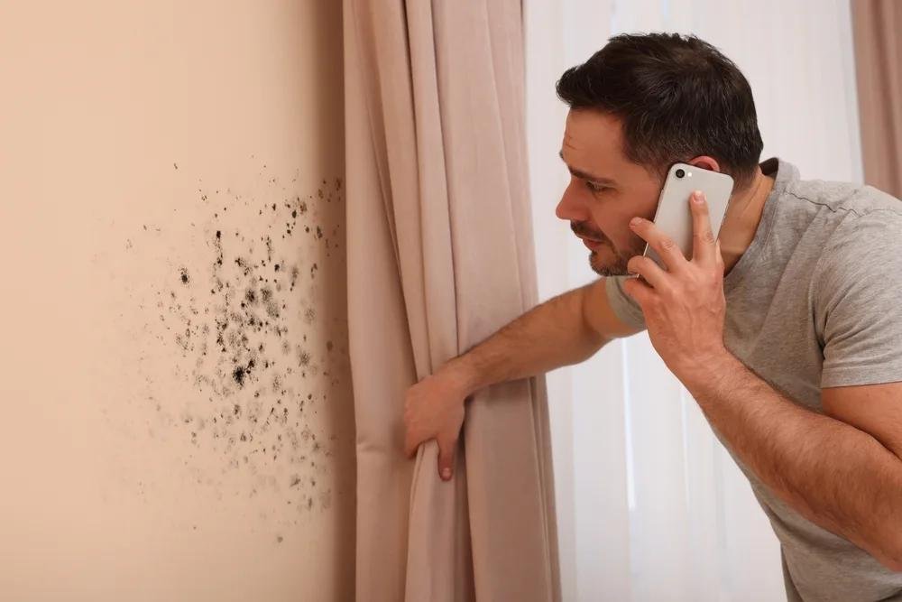 Mold