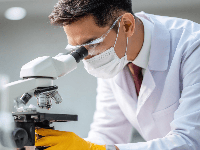 Mold Assessments / Testing