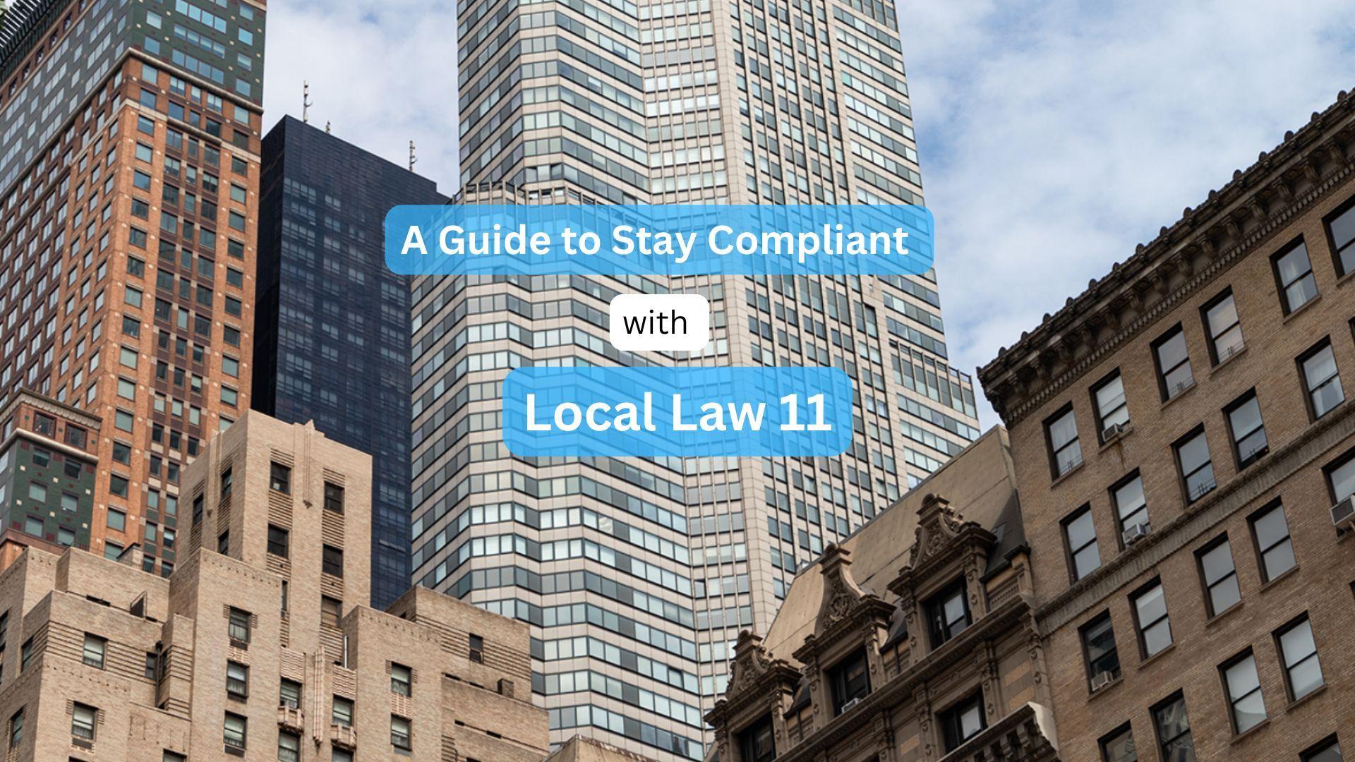 Local law 31
