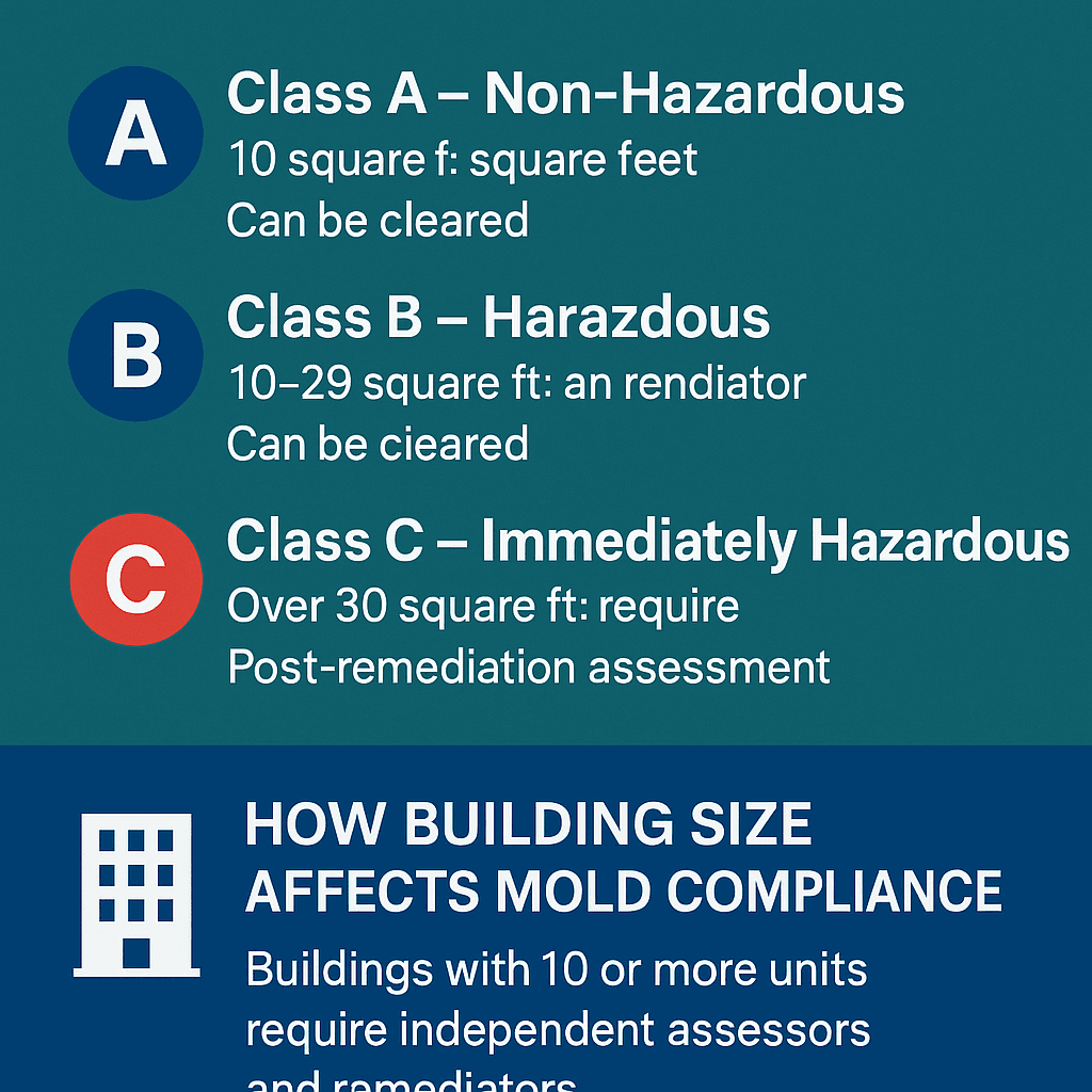 Informational graphic by Environmental Safeguard Solutions explaining HPD mold violations in NYC. The image lists Class A (Non-Hazardous), Class B (Hazardous), and Class C (Immediately Hazardous) violations, showing that each class corresponds to different square footage thresholds and clearance requirements. The lower section explains how building size affects mold compliance, noting that properties with 10 or more units must use independent licensed assessors and remediators. The design uses ESS’s green and blue brand colors with clean typography and icon visuals.