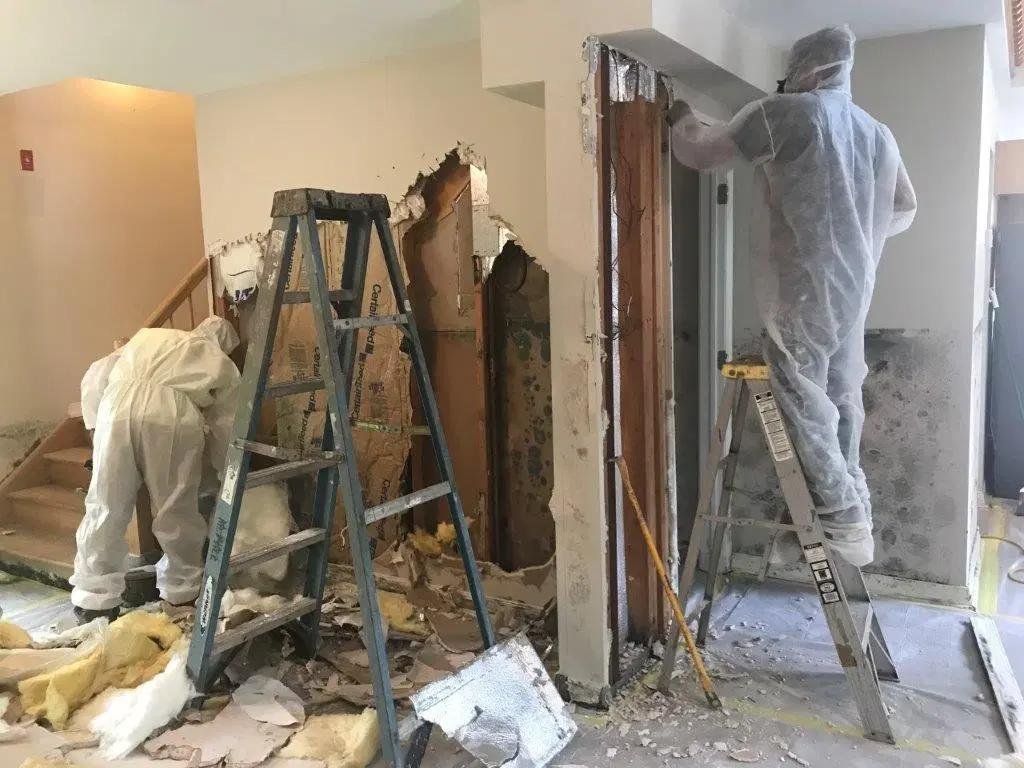 lead inspection